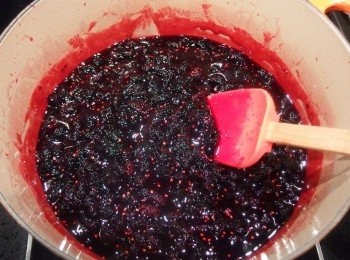 step11: 開中小火將果醬煮約3-5分鐘即可熄火。過程中需不斷攪拌果醬可避免黏鍋,攪拌過程中可感受到果膠及果醬產生的黏稠感。