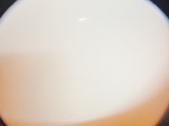 step3: 牛奶與糖放鍋內加熱至糖完全溶化及牛奶冒煙，熄火。