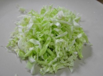 step3: 將高麗菜切成細絲堆疊在盤中