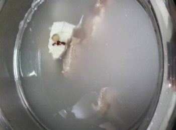 step5: 將所有材料倒入電子湯煲中、按煲湯製較3.5小時