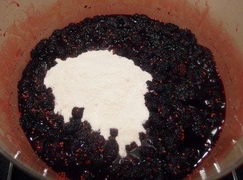 step10: 將混合好的果膠粉加入冷卻後的果醬裡攪拌均勻。