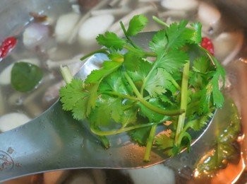 step12: 最後加入香菜