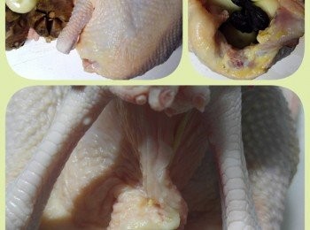 step1: 飯煲黑蒜香雞做法:
雞內外徹底洗淨。。。印乾。。。將已去衣的獨子蒜和黑蒜塞入雞内。。。直到塞滿。。。用竹籤或牙籤封住。。。 表皮塗上薄薄ㄧ層鹽!

P.S.: 
1.  獨子蒜或普通蒜頭數量可加可減。。。以塞滿雞内籠為準!
2.  鹽不用多。。。否則雞汁會太咸!