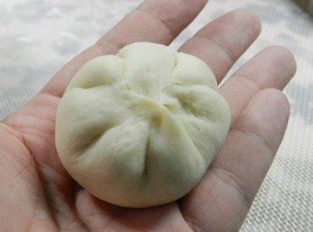 step6: 收成包子型