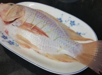 step2: 將魚清洗後，隔乾水份，放上薑絲