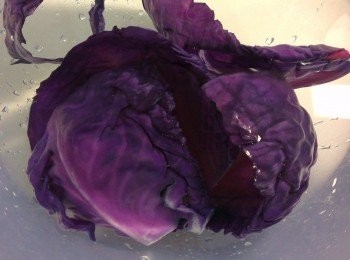 step4: 撈出泡入冰水內降溫(並且擦乾)