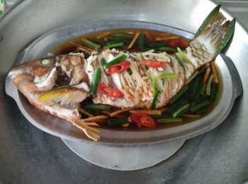 step2: 用大鍋把水燒滾，將清蒸鰱魚【澎湖野生水產】放入鐵盤上，鐵盤上外鍋也要放少許的水，再開大火清蒸15分鐘。 並在清蒸鰱魚【澎湖野生水產】身上鋪好薑絲，淋上少許的醬油和水， 【金蘭醬油對甘醇始終如一的堅持，採透明瓶裝醬油，讓品質清楚看得見。】