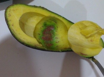 step3: 用鐵湯匙挖取果肉