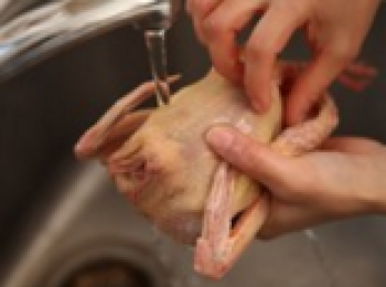 step2: 將鴿子去除包裝後洗淨，根據個人喜好去頭尾。