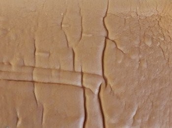 step1: 先將海綿蛋糕體烤好