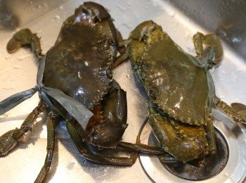 step1: 先劏蟹去腮並洗乾淨