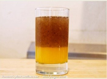 step4: 隨後以45度傾角模式，將黑木耳養生露倒入杯中至八分滿。