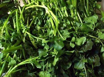 step1: 把西洋菜洗淨，備用。