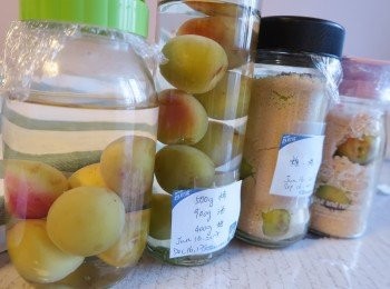 step4: 酒加梅放一個月後加糖，半年後可飲用。