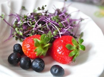 step5: 再準備新鮮蔬果