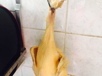 step7: 將整隻雞掛起滴乾並吹約10分鐘至乾身。像牛排煎完要rest的原理，這樣可令雞肉更多汁，雞油也會被雞皮吸收回去令雞皮更黄更香。