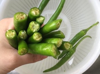 step3: 尖椒洗淨去蒂，如果喜歡吃辣的記得把尖椒中間切開。