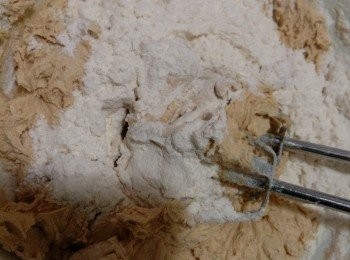 step3: 材料C混合后，加入转低速拌匀。