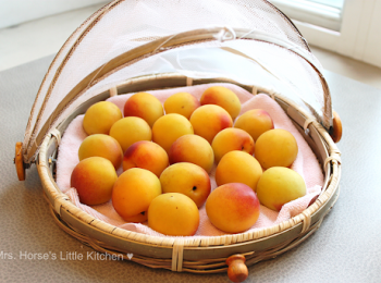 step2: 放在乾淨的乾毛巾充分風乾。