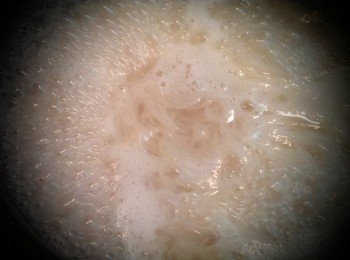 step3: 煮約8-10分鐘撈起待涼備用