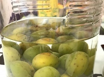 step4: 記得間中要把瓶轉一轉，令冰糖可平均溶解酒內。