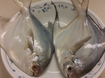 step3: 因選用玫瑰鍋蒸魚,所以煲內放蔥段預熱後,先放魚跟手在魚面放蒜蓉,需加一湯匙熱水隨即蓋蓋,只需蒸兩分鐘焗兩分鐘,但如果條魚比較大請自行加時間。