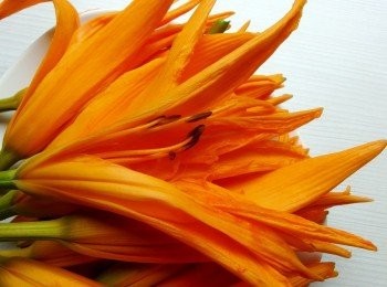 step2: 新鮮金針花洗淨,去蒂去芯備用。