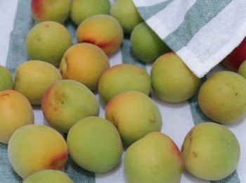 step1: 洗淨梅去蒂吹乾