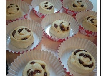 step5: 把麵團從左邊開始卷成長條, 收口位置把麵團按薄。完成後切成12份。把麵團放回紙模, 開始進行室溫第二次發酵約60分鐘。