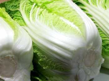 step1: 示範中的山東大白菜個頭比較小, 三個才六斤多。
個頭大的, 兩顆就差不多七斤了。
選菜時, 以紥實, 比較沈, 葉子完整為優。