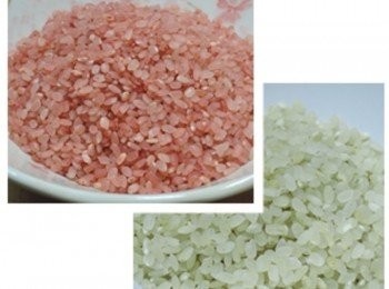 step2: 台灣彩色營養米 我用了紅色與綠色，粉絲團 https://www.facebook.com/MITNCR?fref=ts