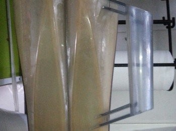 step12: 將所有材料放入攪拌機打碎湯中材料