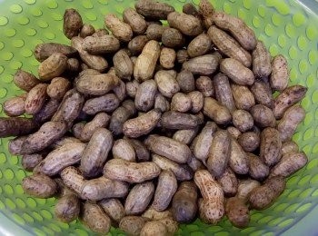 step2: 如覺不夠香稔，可熄火，蓋上鑊蓋，悶焗至稔透為止。