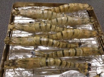 step2: 水波爐選用Grill 功能18分鐘,過15分鐘後掃上美極再焗3分鐘即完成,焗爐選用250度焗18分鐘。