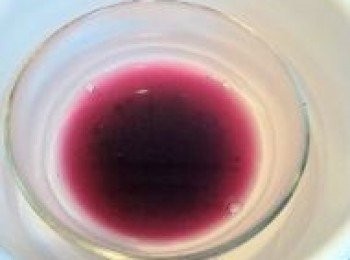 step3: 魚膠片放冰水中泡軟後，放入隔熱水加熱藍莓果醬中