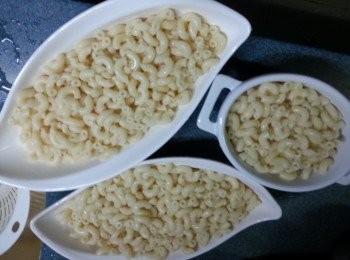 step5: 通心粉隔去水份,放於可以入焗爐的碗內(通心粉不用過冷河,否則通粉不會沾上醬汁)