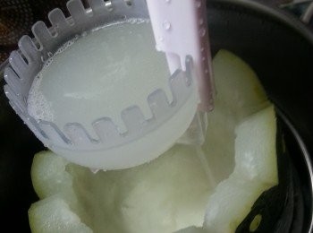 step9: 加入湯底(湯底可以用雞湯)加入所有材料再燉1小時(蝦及夜香花除外)