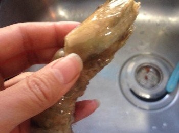 step2: 剪去蝦頭前端