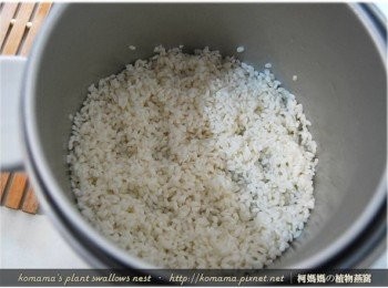 step2: 先將白米洗淨，泡水浸漬30分鐘後，再瀝乾水分，直接放至於電鍋中。