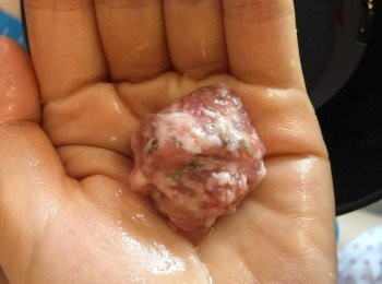 step3: 豬肉碎事先用鹽、Rosemary 和胡椒醃至少二小時。然後用手搓成小肉丸。