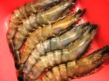 step1: 蝦洗淨後剪去蝦頭嘅尖角、腳、觸鬚，在蝦背劃一刀挑去蝦腸，用少許紹興酒、鹽、白胡椒粉略醃15分鐘。蒜頭切粒。