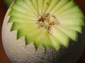 step2: 完成圍圈後，整個蓋頂可以拿起