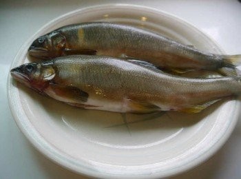 step1: *將冷凍的魚解凍。讓血水都流出後洗淨用紙巾擦拭乾淨。