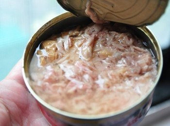 step4: 另外加入紅鷹牌海底雞鮪魚罐頭