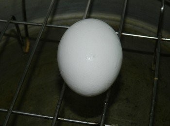 step7: 蛋入電鍋半杯水蒸