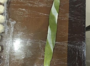 step9: 接著馬上進行第二次桿麵.從中間輕壓後向上及向下桿開, 桿成等寬的長條形.接著用手指推捲尾端.將桿平的麵皮捲成圓柱狀, 請記得要照順序排隊喔.
