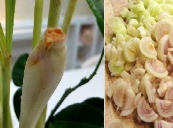 step12: 香茅切薄片