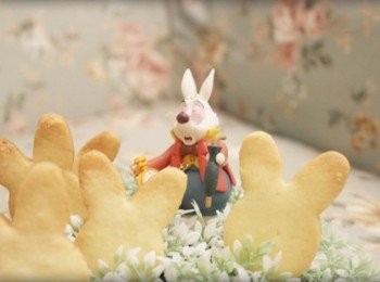 step7: 辛苦的兔子先生&gt;///