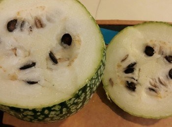 step1: 洗淨，開蓋，取出瓜核及瓜囊(用刀在周邊切割並用鐵匙羹取出,保留一寸厚)
clean, cut a lid, remove seed and the mid part(cut and spoon the mid part, keep 1 inch-thick border )