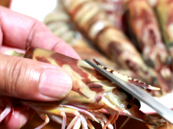 step1: 老虎蝦清洗乾淨, 剪去蝦頭上的刺, 從眼睛後方剪下, 去掉蝦頭前端。再剪去蝦尾上的小刺。背部剪開, 不用太深, 再挑出蝦腸。蝦腸必需除去。再以料理米酒、白胡椒粉及鹽略為醃製。